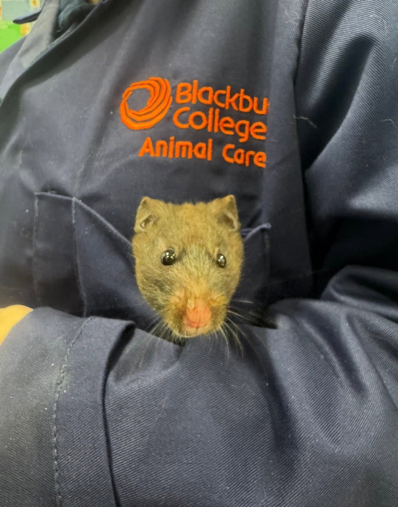 Blackburn College animal care practical learning photograph 1