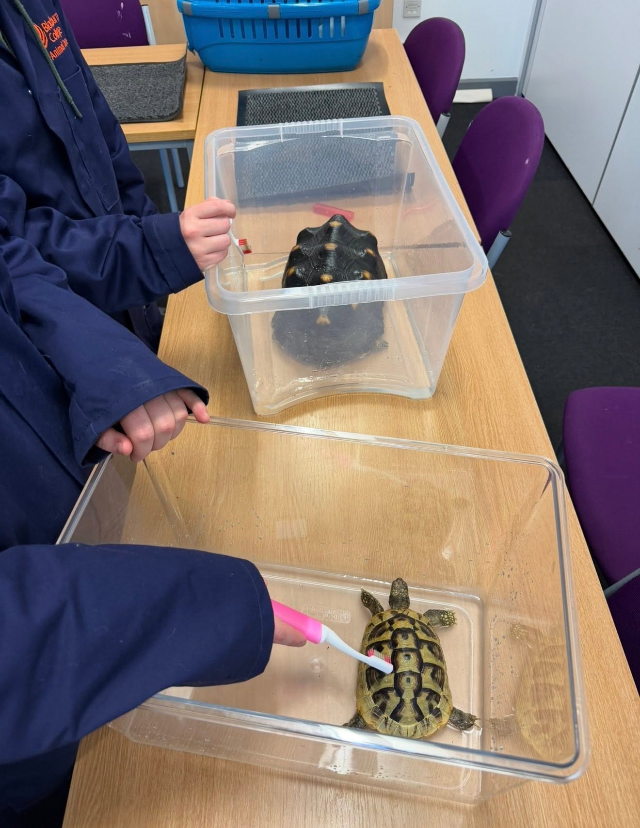 Blackburn College animal care practical learning photograph 4