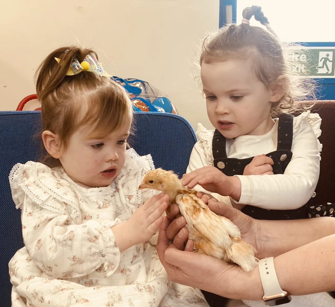 Children enjoying an Emily's Mini Farm animal encounter