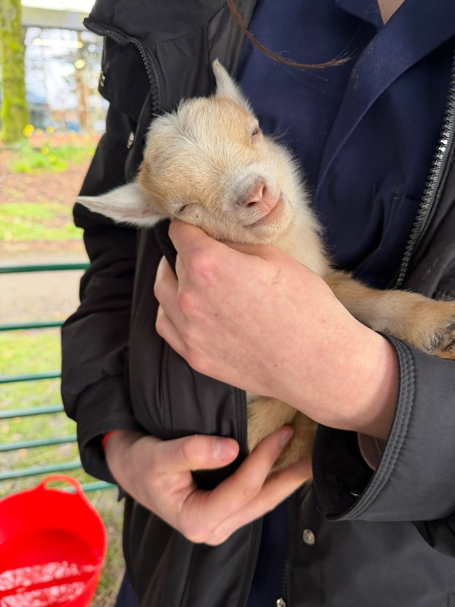 Animal Encounters at Edge Hill University - photograph of animal visit