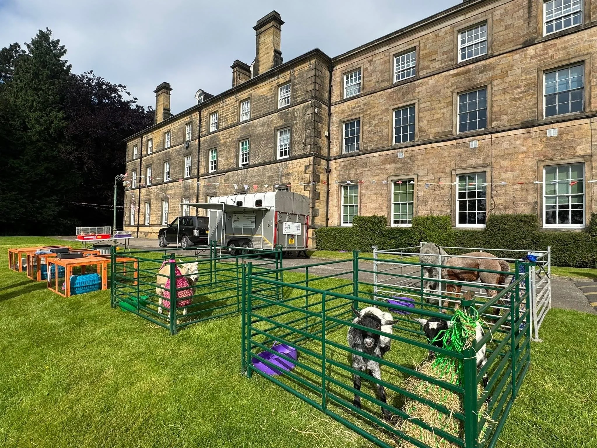 Emily's Mini Farm fully mobile petting farm set up with animal pens at a customer venue