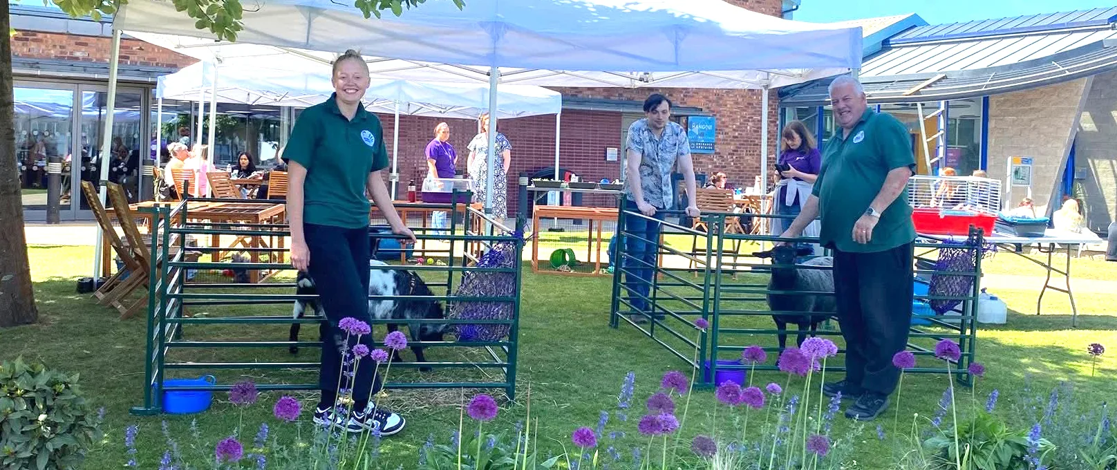 Emily's Mini Farm mobile petting farm visit