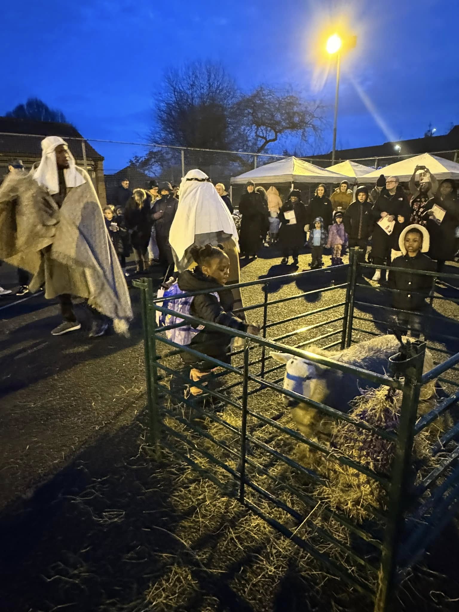 Bringing the Nativity to Life - photograph of animal visit