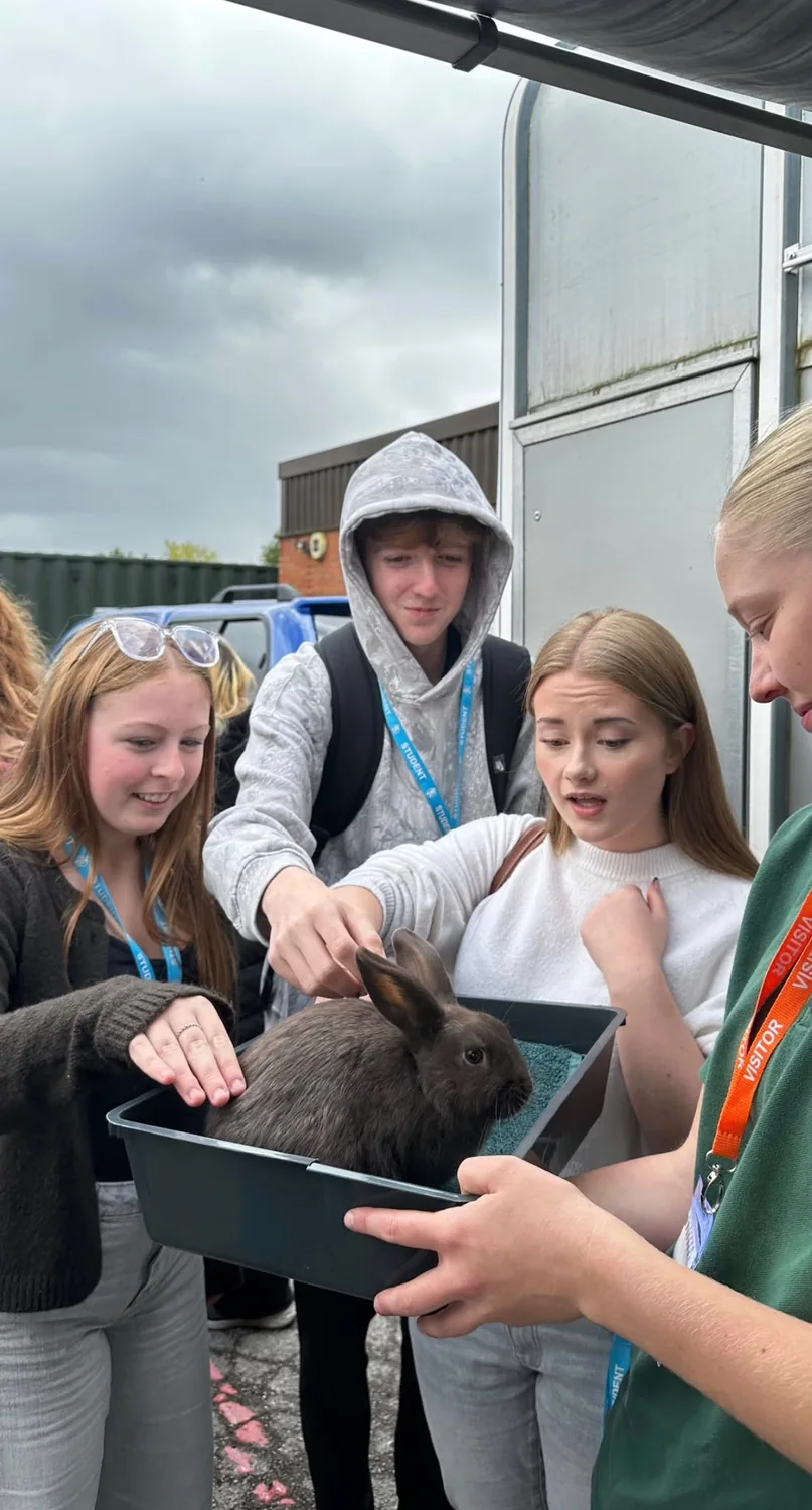 Young people interacting with a rabbit from Emily’s Mini Farm